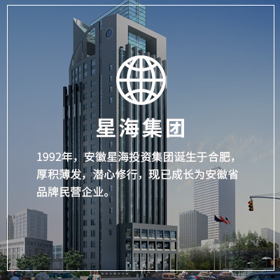 安徽星海投资集团